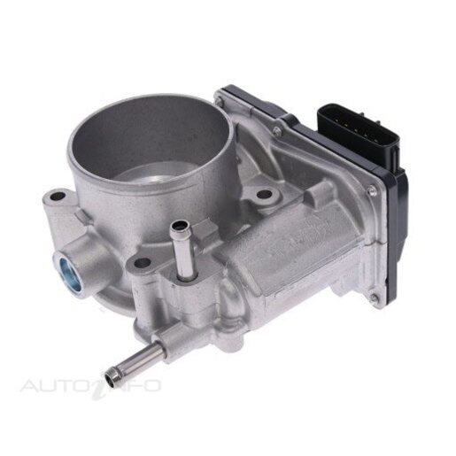 Fuel Injection Throttle Body