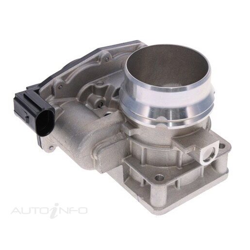 Fuel Injection Throttle Body