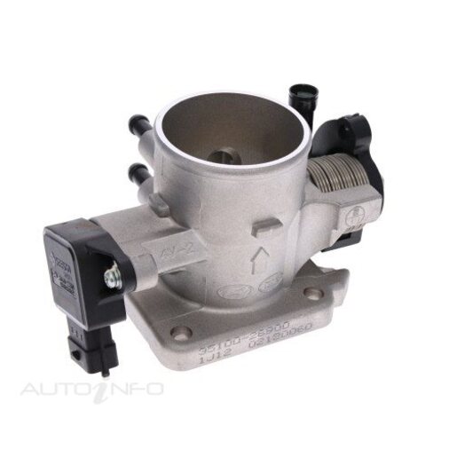 Fuel Injection Throttle Body