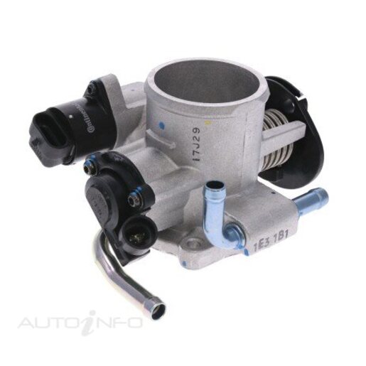 Fuel Injection Throttle Body