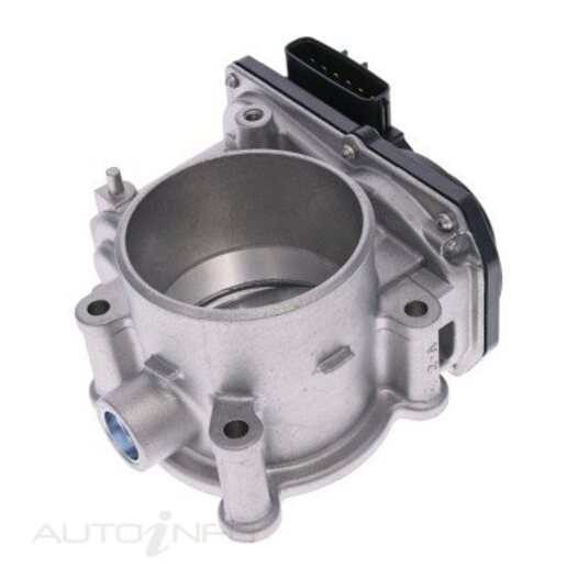 Fuel Injection Throttle Body