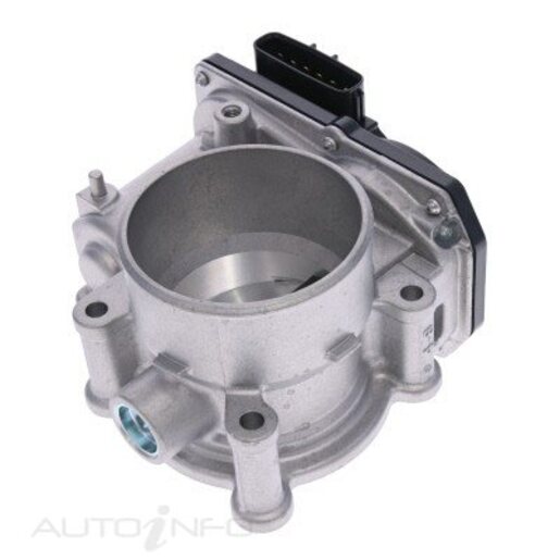 Fuel Injection Throttle Body