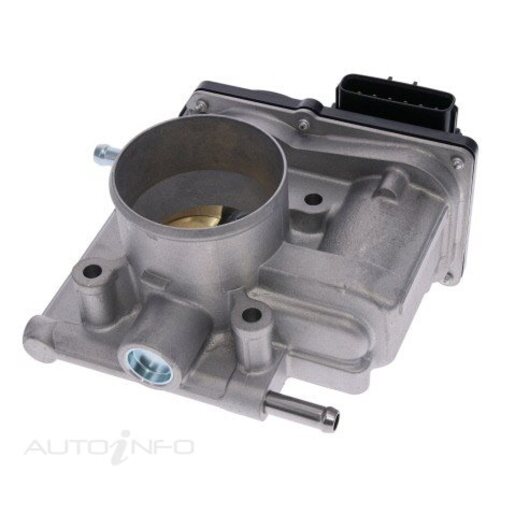 Fuel Injection Throttle Body