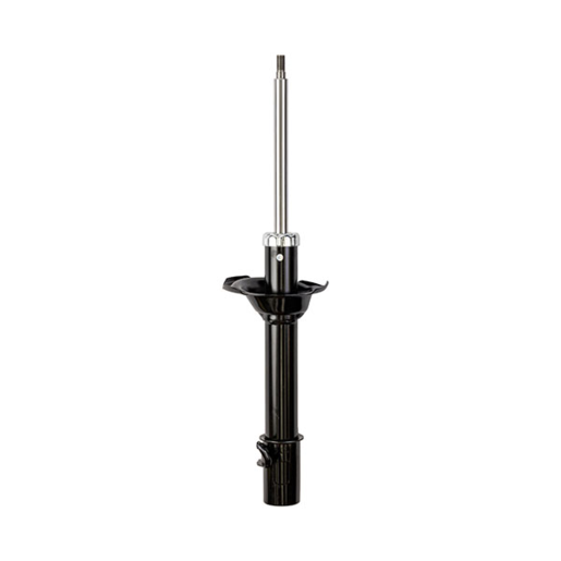 Roadsafe STR Sealed Strut - R600105