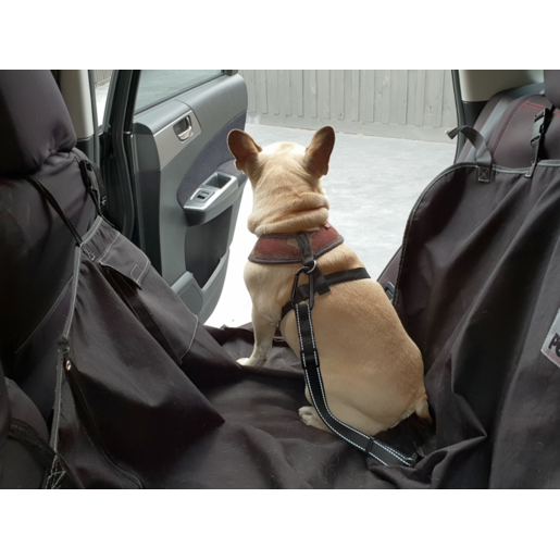 Streetwize Pet Seat Belt Tether - SWSBT