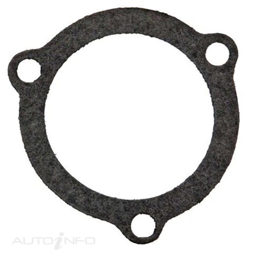 Kilkenny Castings Thermostat Housing Gasket - GK29