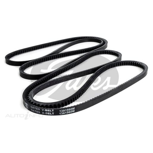 Dayco V-Belt (Matched Pair) - 13A1560M