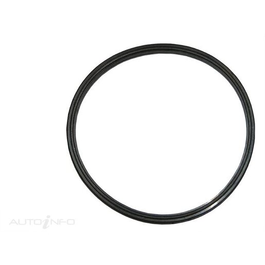 Dayco Thermostat Seal - DTG80