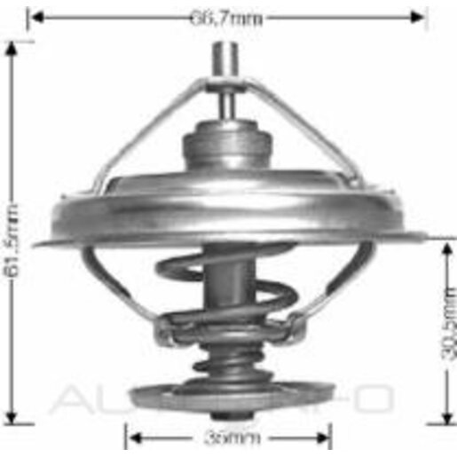 Dayco Thermostat 66.7mm Dia 91C Boxed - DT62B