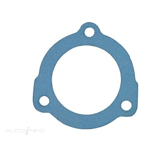 Dayco Thermostat Seal - DTG79